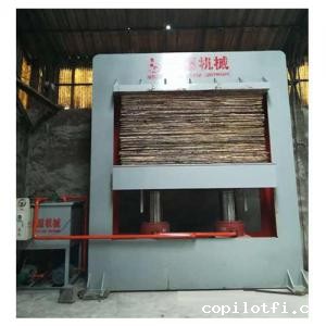 1693876631112416.jpg 5d1c1b5431de9.jpg